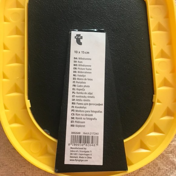 Flying Tiger pineapple picture frame - Picture 2 of 3